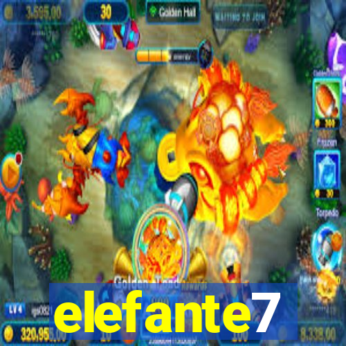 elefante7