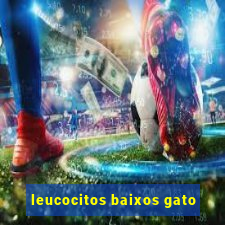 leucocitos baixos gato