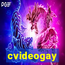 cvideogay