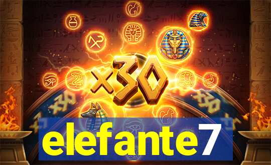 elefante7