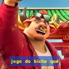 jogo do bicho que paga no pix