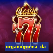 organograma da cacau show