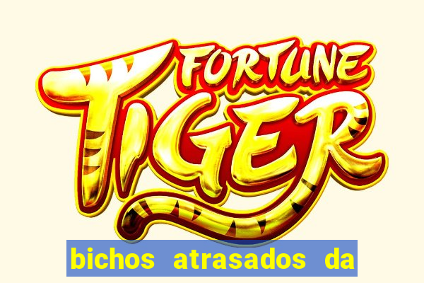 bichos atrasados da loteria federal