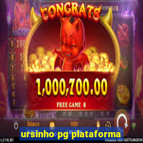 ursinho pg plataforma