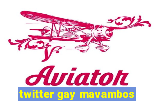 twitter gay mavambos
