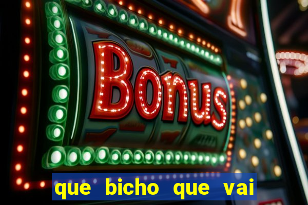 que bicho que vai dar hoje
