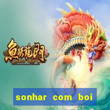sonhar com boi branco jogo do bicho