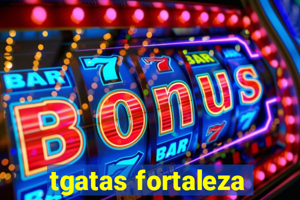 tgatas fortaleza