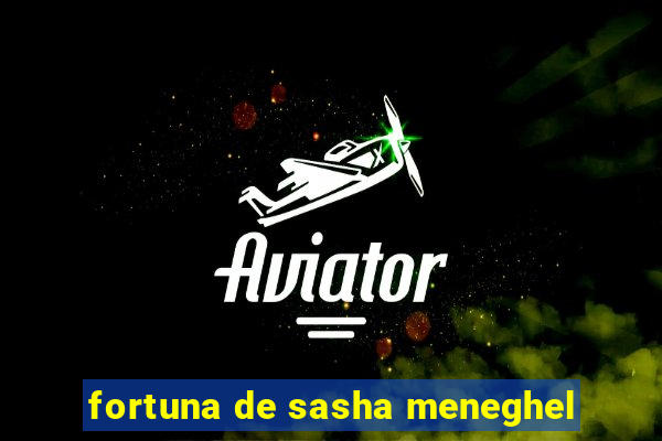 fortuna de sasha meneghel