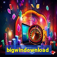 bigwindownload