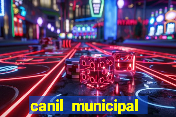 canil municipal porto alegre