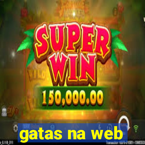 gatas na web