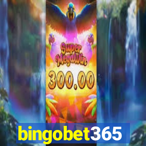 bingobet365