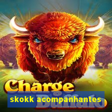 skokk acompanhantes