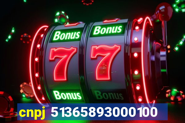 cnpj 51365893000100