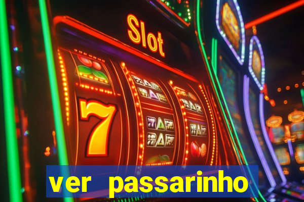 ver passarinho morto significado espiritual