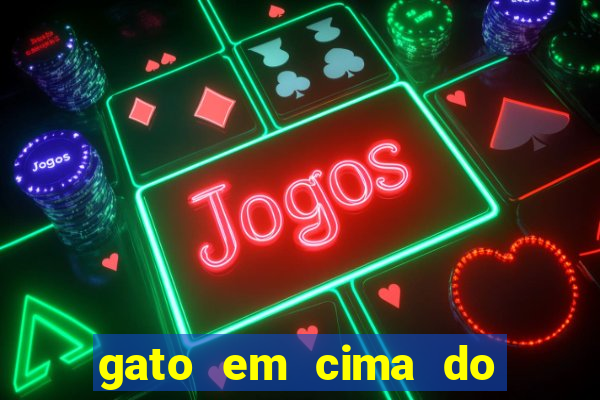 gato em cima do telhado significado espiritual