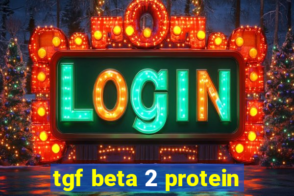 tgf beta 2 protein