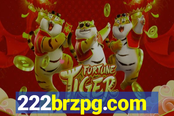 222brzpg.com