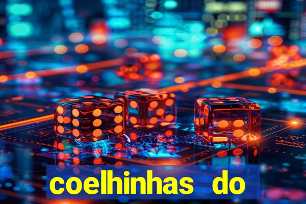 coelhinhas do brasil recife