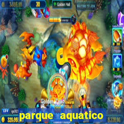 parque aquatico tina rolf salvador bahia