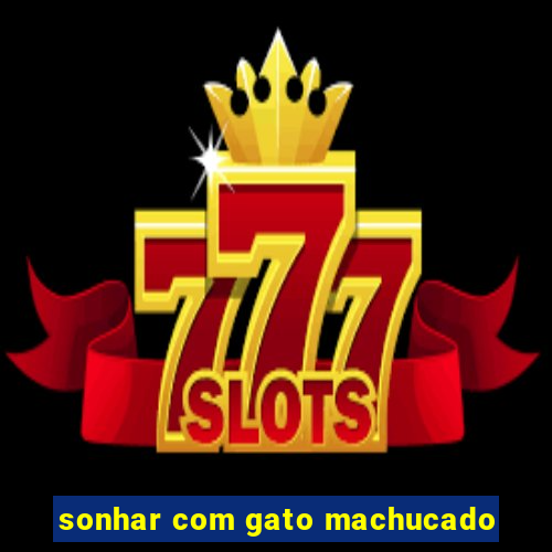 sonhar com gato machucado