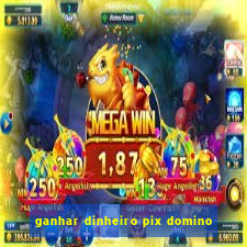 ganhar dinheiro pix domino
