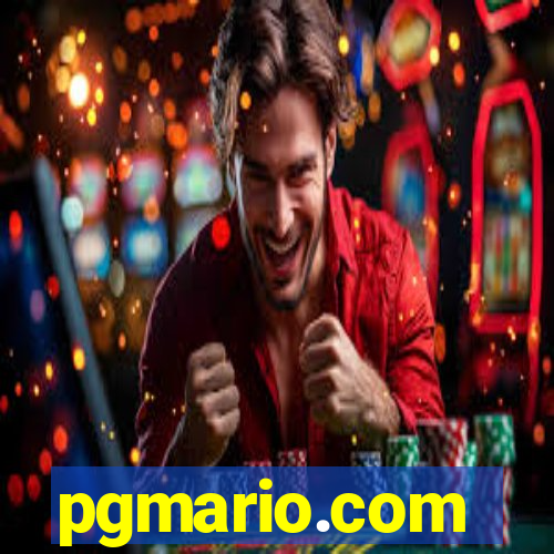 pgmario.com