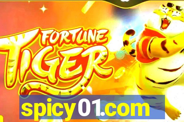 spicy01.com