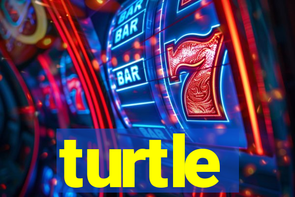 turtle-ty.com